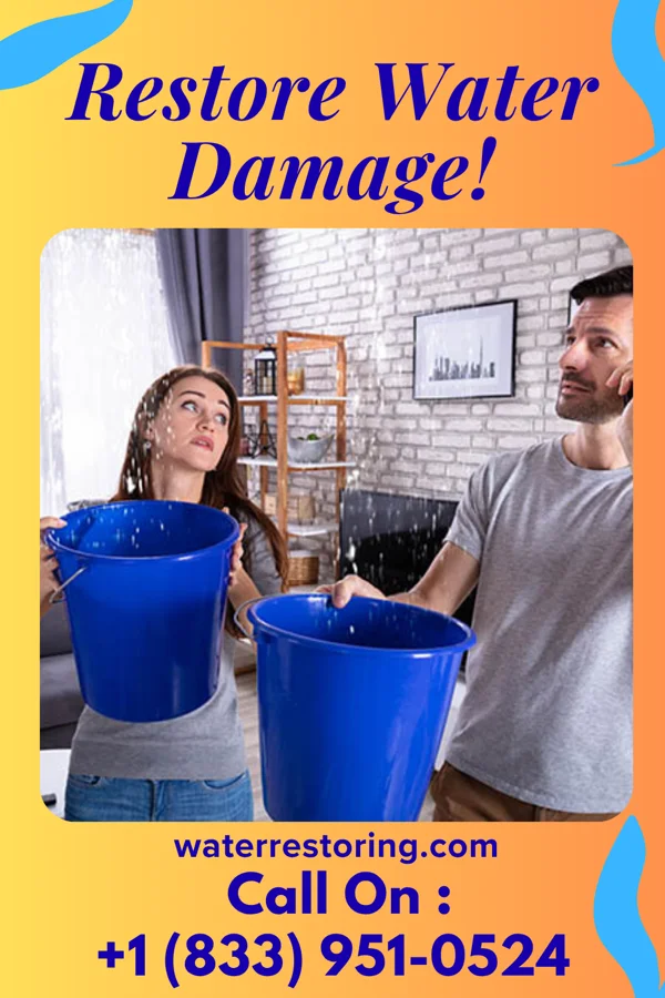 water restoration Premier Recovery Masters Paige